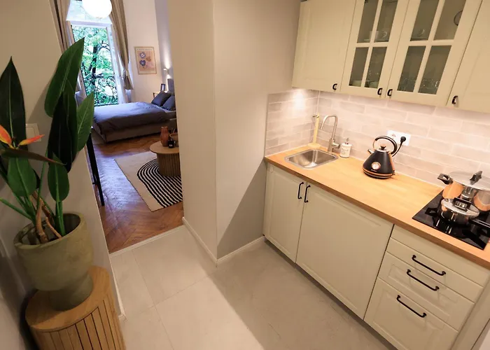 Designer With Balcony Appartement