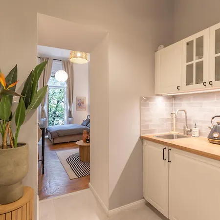 Designer * Budapesta