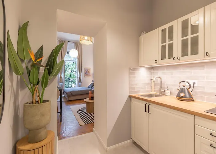 Designer * Budapesta